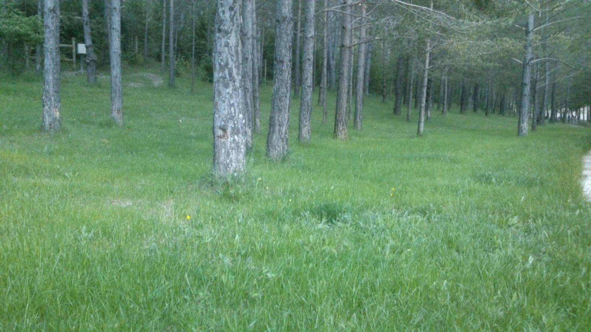 Camping L'Espelt La Pobla de Lillet Dış mekan fotoğraf