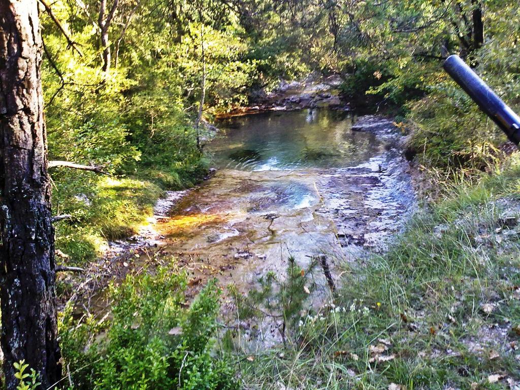 Camping L'Espelt La Pobla de Lillet Dış mekan fotoğraf